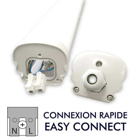 ARUM LIGHTING Lot De 12 Boitiers LED Etanche 120cm 36W IP65 | Température De Couleur: Blanc Froid 6000K 2 ARUM LIGHTING Lot De 12 Boitiers LED Etanche 120cm 36W IP65 | Température De Couleur: Blanc Froid 6000K – Image 2